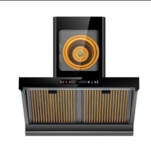 Heat extractor with voice assistance