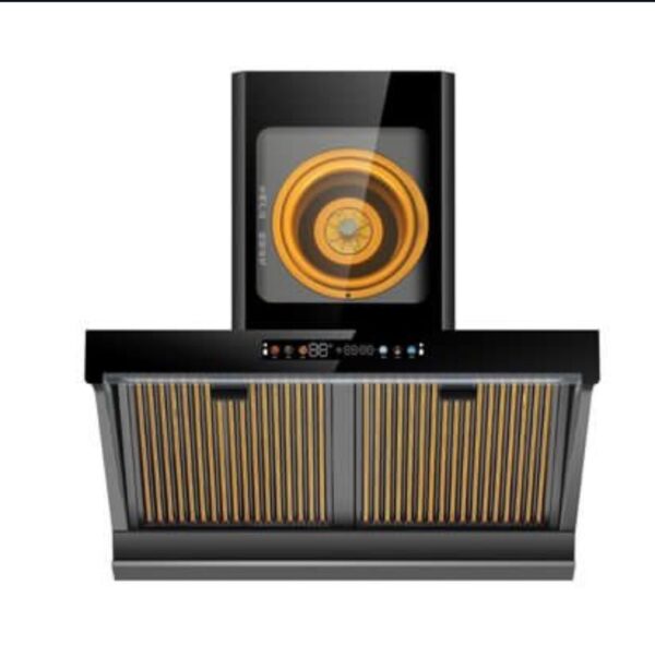 Heat extractor with voice assistance